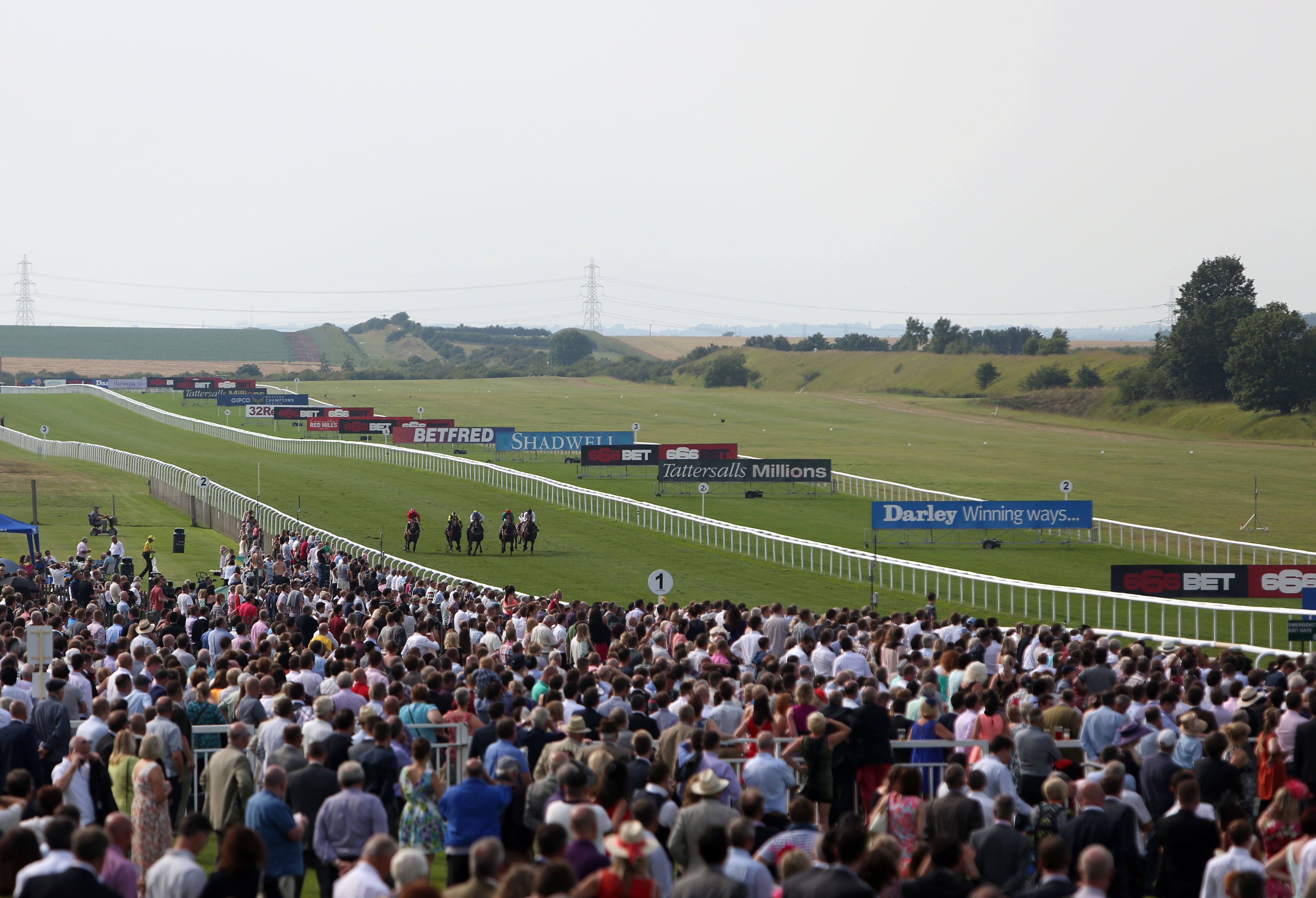 Future stars out in force at Newmarket